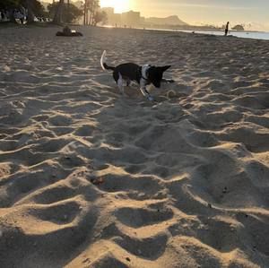 Meet your Posher, Richard